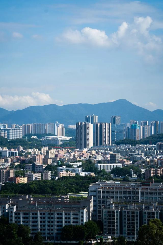 光明这个公园，原来这么好逛！