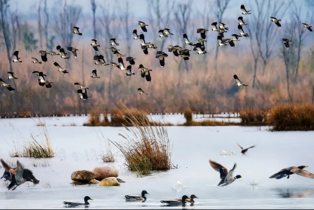 省级旅游度假区+2！每个都写满了松弛感