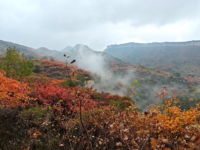 雾锁风挡山，红叶引客来