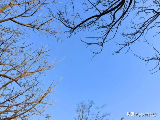 7号立冬，“上午立冬冻死牛，下午立冬暖烘烘”，今年立冬在哪？