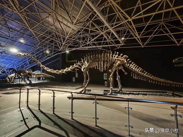 从世界恐龙谷到神秘的大理国，八天时间探秘云南奇境