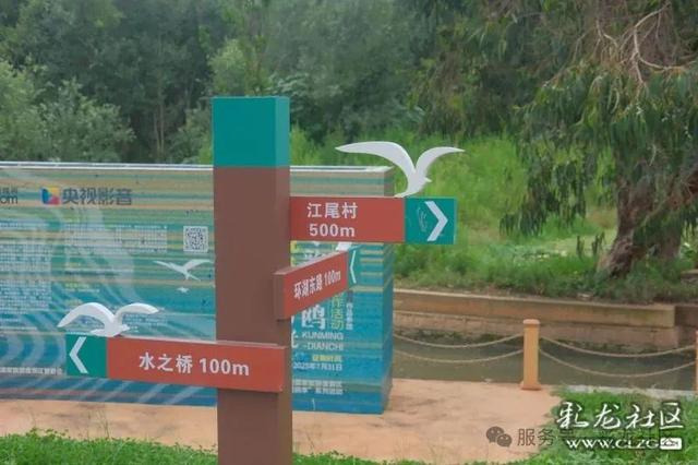 在滇池绿道，把生活过成诗