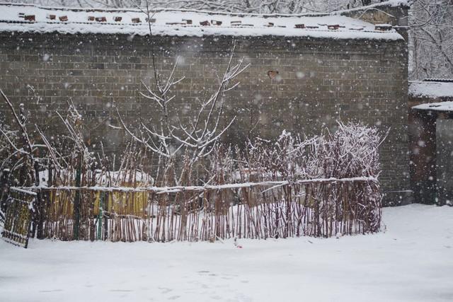 2026年“数九	”时间表来了！冬天到底冷不冷，答案来了！