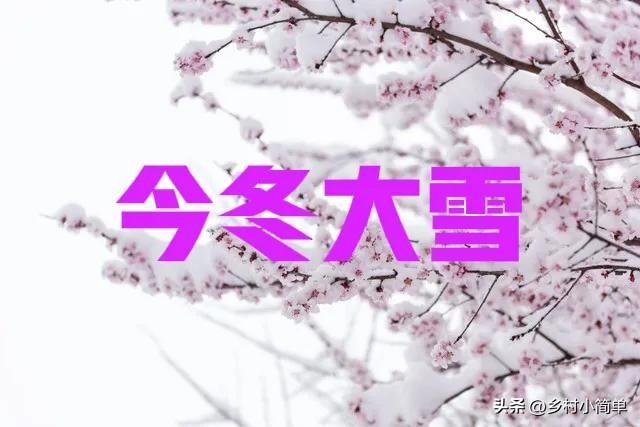 明日九月初九不一般,老人说"大雪有没有,就看九月初九",今冬大雪?