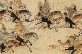 乌蕨，所谓的万能解毒草就是我。图片