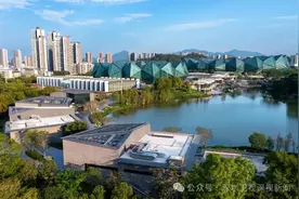 五月天、周杰伦、刘德华…“工业强区”龙岗如何变身2024顶流？图片