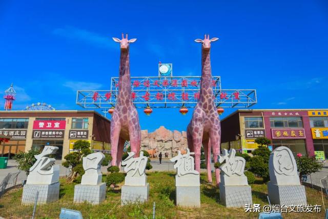 【乐游烟台】高性价比！烟台被严重低估的神仙遛娃地