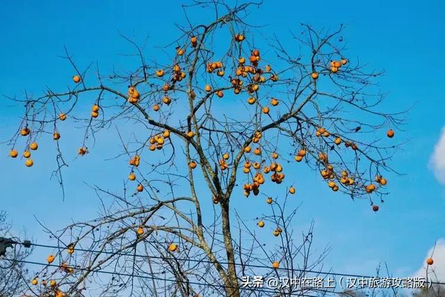 初冬游汉中岳坝，在自然里疗愈身心！