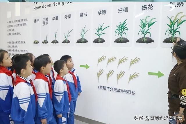 亲子家庭扎堆打卡！2025湖南工业游新路线官宣，玩法太上头了吧