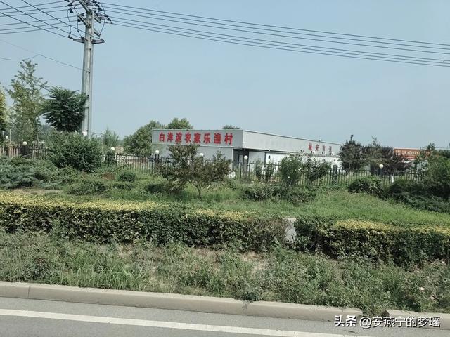 白洋淀之行