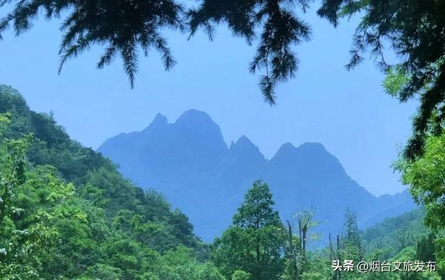 【乐游烟台】来烟台蓬莱艾山“森呼吸”！山林、溪潭、云海全都有
