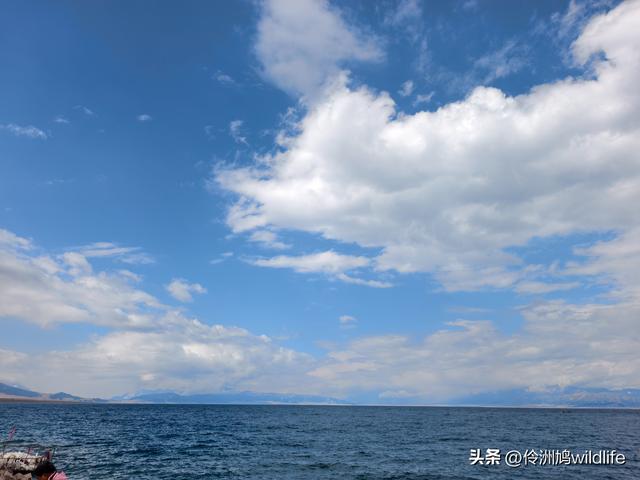 新疆明珠——赛里木湖