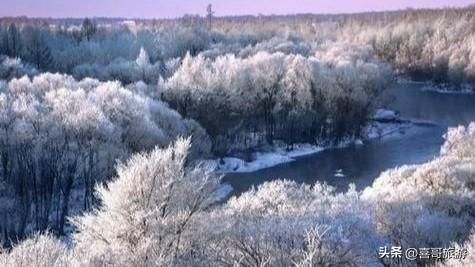 逊克雾凇秘境：北纬49°的冰雪童话史诗