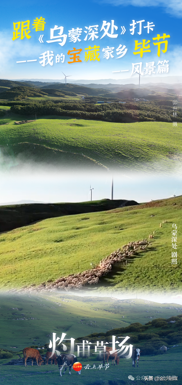 冲！冲！冲！冲！冲！