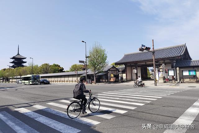 日本京都：走进东寺（教王护国寺）