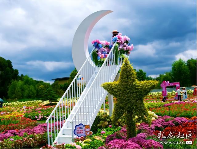绣球花展点亮滇池