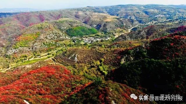 刷屏了！晋城“新顶流”！
