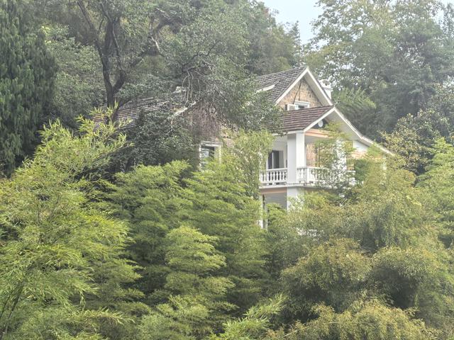 浙江湖州市德清县莫干山国家风景名胜区游记（下）