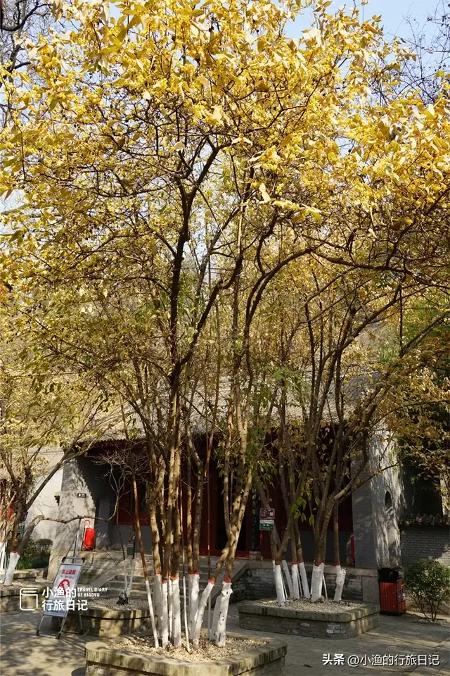 老西安都不知道的宝藏地：常年清静、游人不多，又到冬日最美时