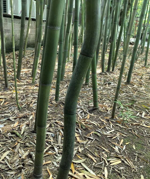 6月，谁说天空一无所有？(下)