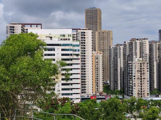曾腾芳：在珠海登将军山