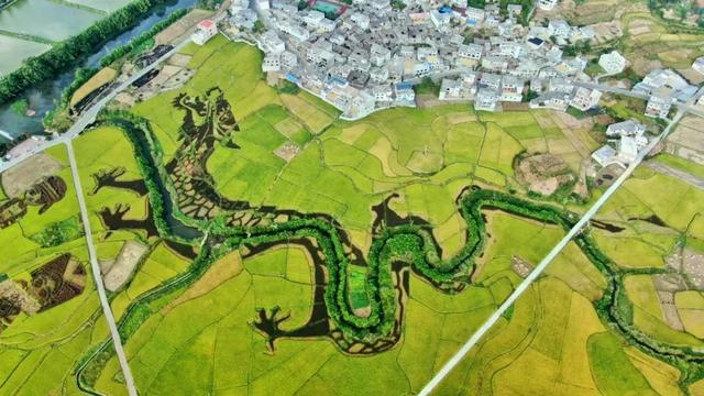 乡游黔中 · 平坝区 龙海村丨布依笙歌醉河畔,十里荷风揽盛夏