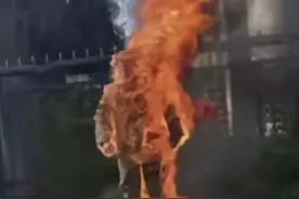 布什内尔，87年前一个美国人就说：这样意志如钢的人中国成千上万图片