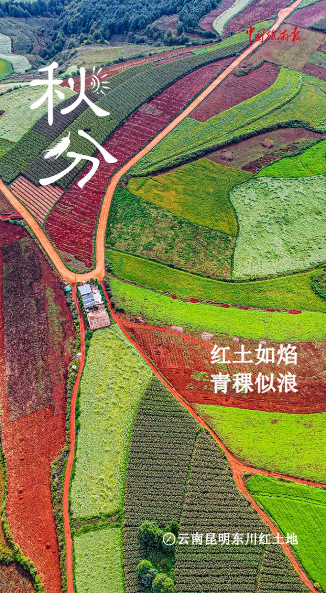 秋分丨寻色山河间 揽盈满秋实