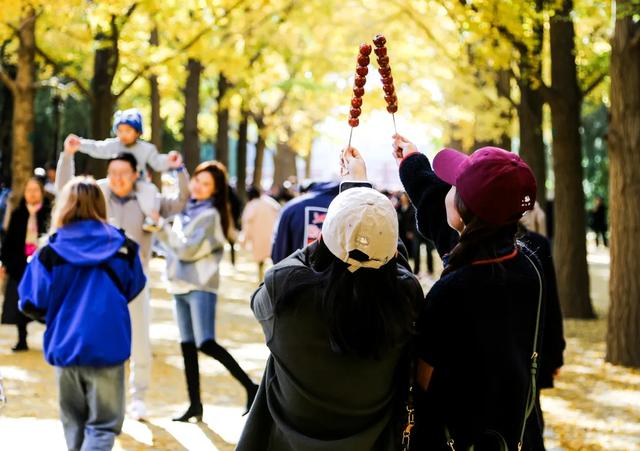 来东城，寻觅那些美好文字里的秋天——