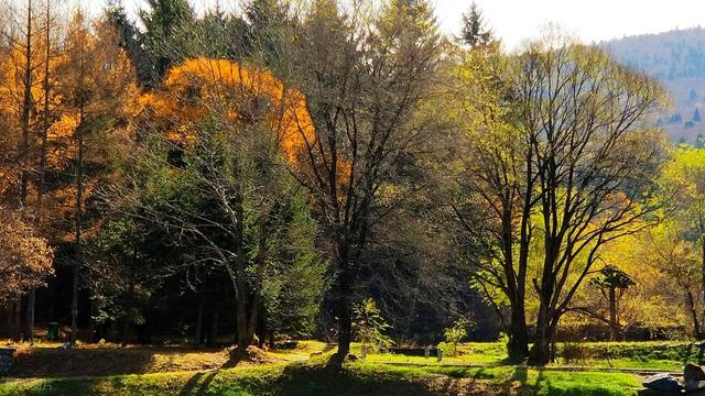 从湖南去了一趟伊春，实话实说，回来才发现朋友圈都是骗人的？