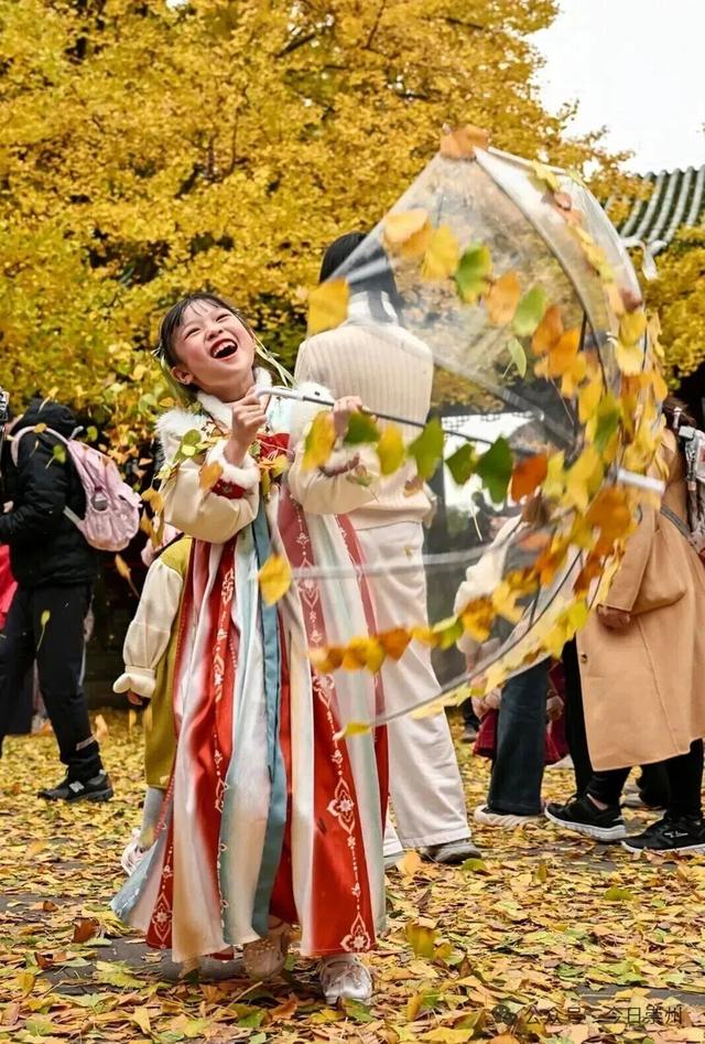 罨画池正在下一盘“大棋”