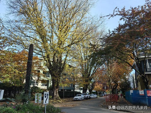 温哥华游记（四）