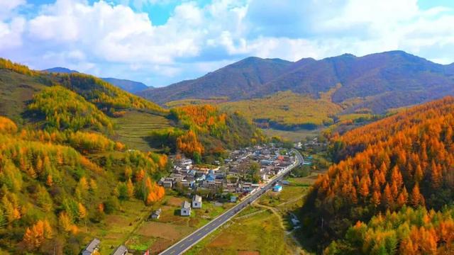 兰仓秋，染山河。