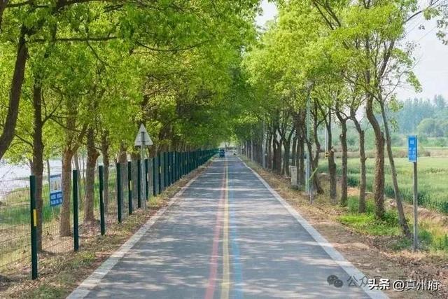 杨昕调研仪征市文体旅工作