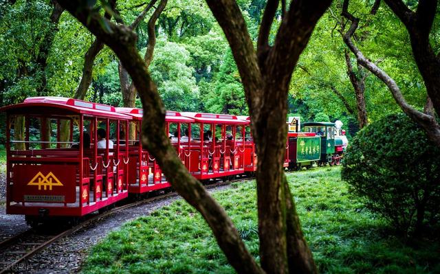 上海值得去的6个公园推荐！全部免费，好看又好玩！你都去过几个