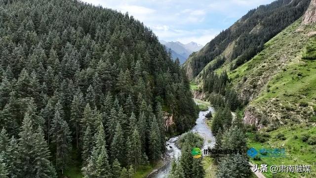 肃南：盛夏祁连山风光旖旎