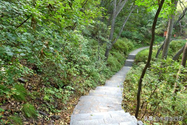 河北百草畔（上）：风动孤石悬险韵，蚁巡深岭蕴生机