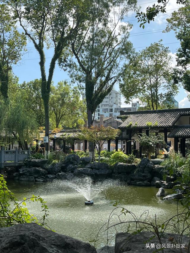 温州墨池公园，超好逛！