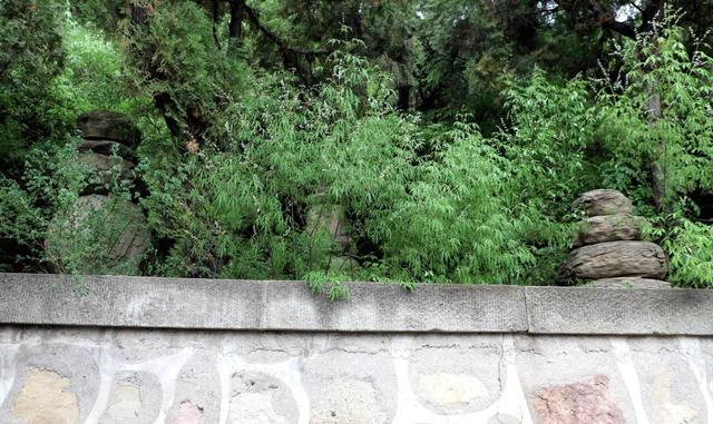 卦山天宁寺塔林——交城