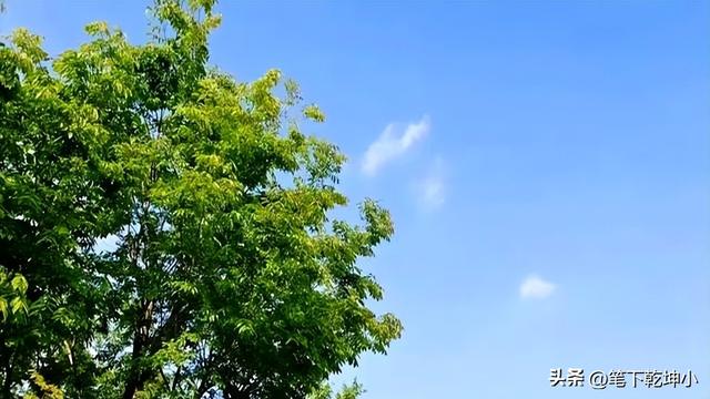 发现！一个现象：父母有退休金的家庭，基本上会有这几种共性