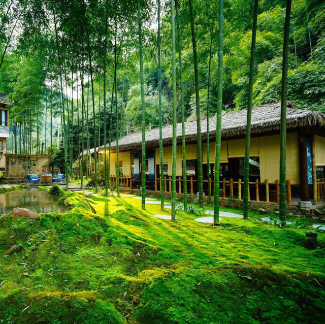 带爸妈出发！邛崃银发康养游线路来啦~