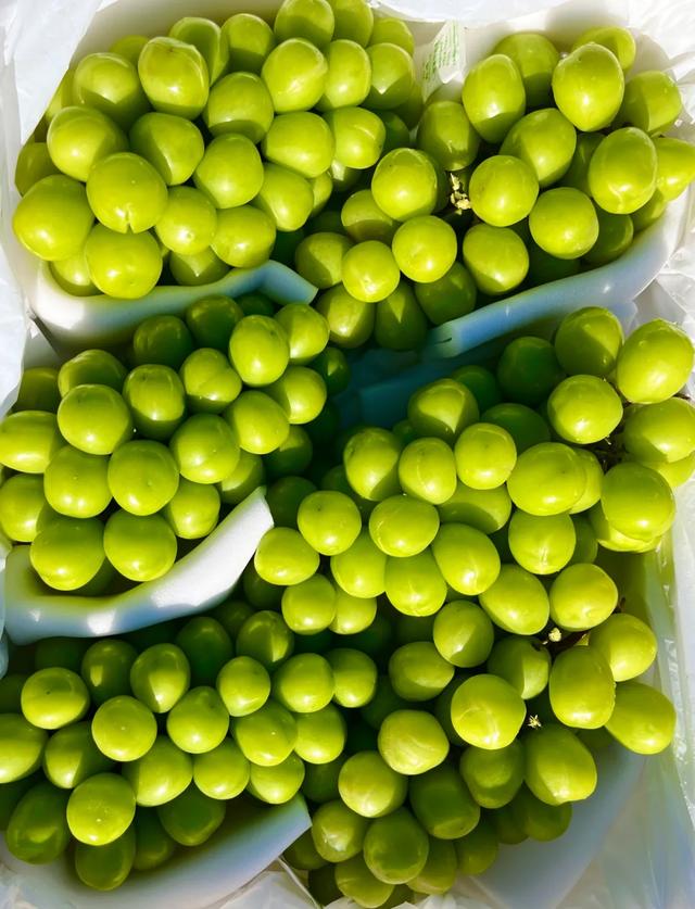 秋色满筐 早市上的色彩交响