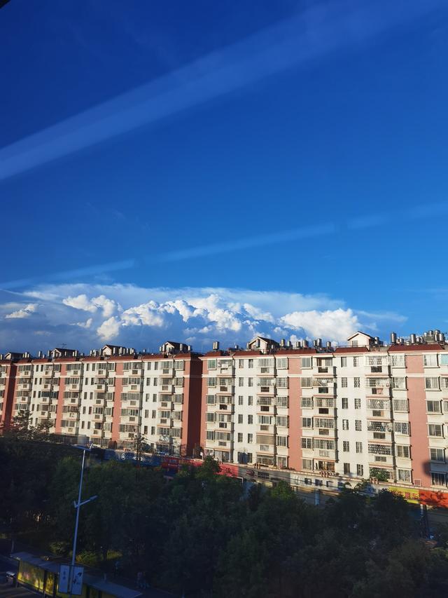 有修行的人，沉静而机敏