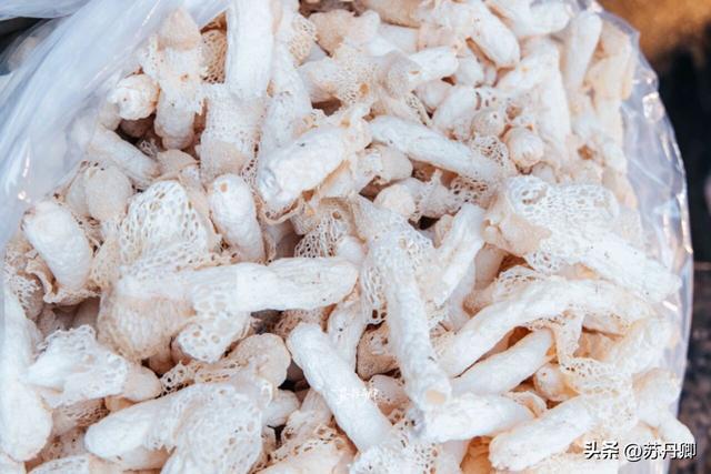 为了一只猴子！我从武汉跑去了贵阳！黔灵山的魅力不止是有猴子