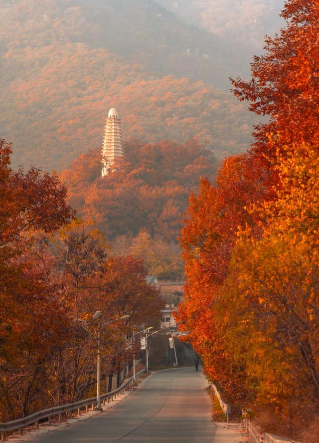 我是大同人刚从天津蓟州回来憋了6个疑问不吐不快