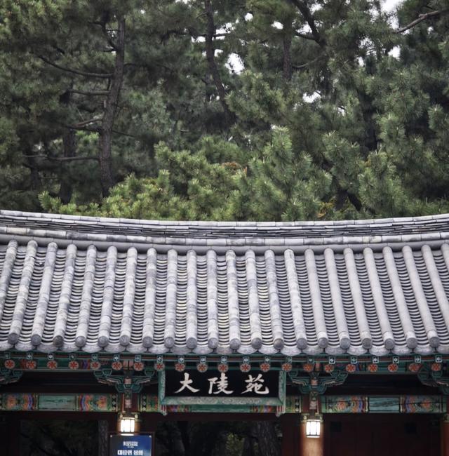 APEC在韩国庆州，吃饭各种泡菜逛街有汉字门匾，这是东亚文化之都