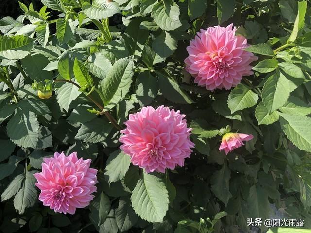 当有人不尊重你，不要沟通，不要愤怒，只需记住9个字，稳赢