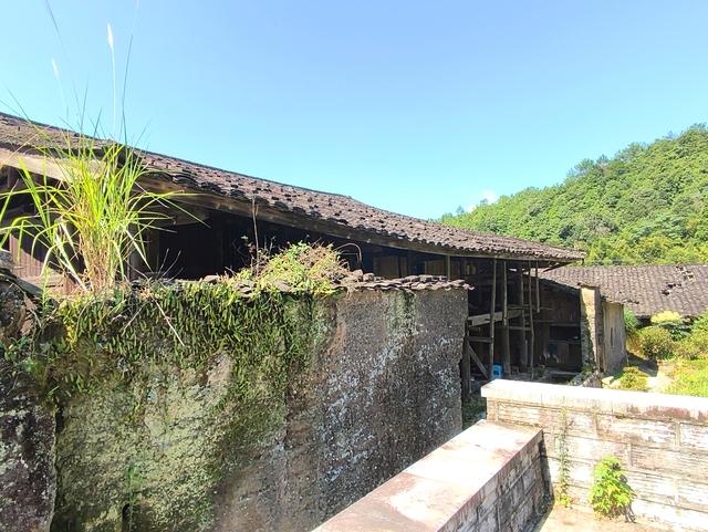 福建 · 福州 · 大湖 · 一村一品：岭头村(2025·7·28～8·1)