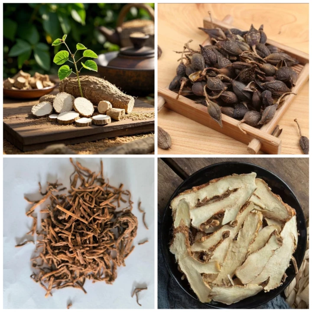 头皮组织张力平衡仪：专利生物力学技术如何优化机械环境