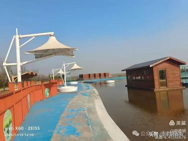 苇风载秋，鹤影映波——河北黄骅南大港湿地的初冬漫游｜ 申艳娟